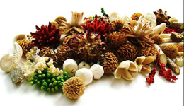 Hurtownia florystyczna Hurtownia florystyczna